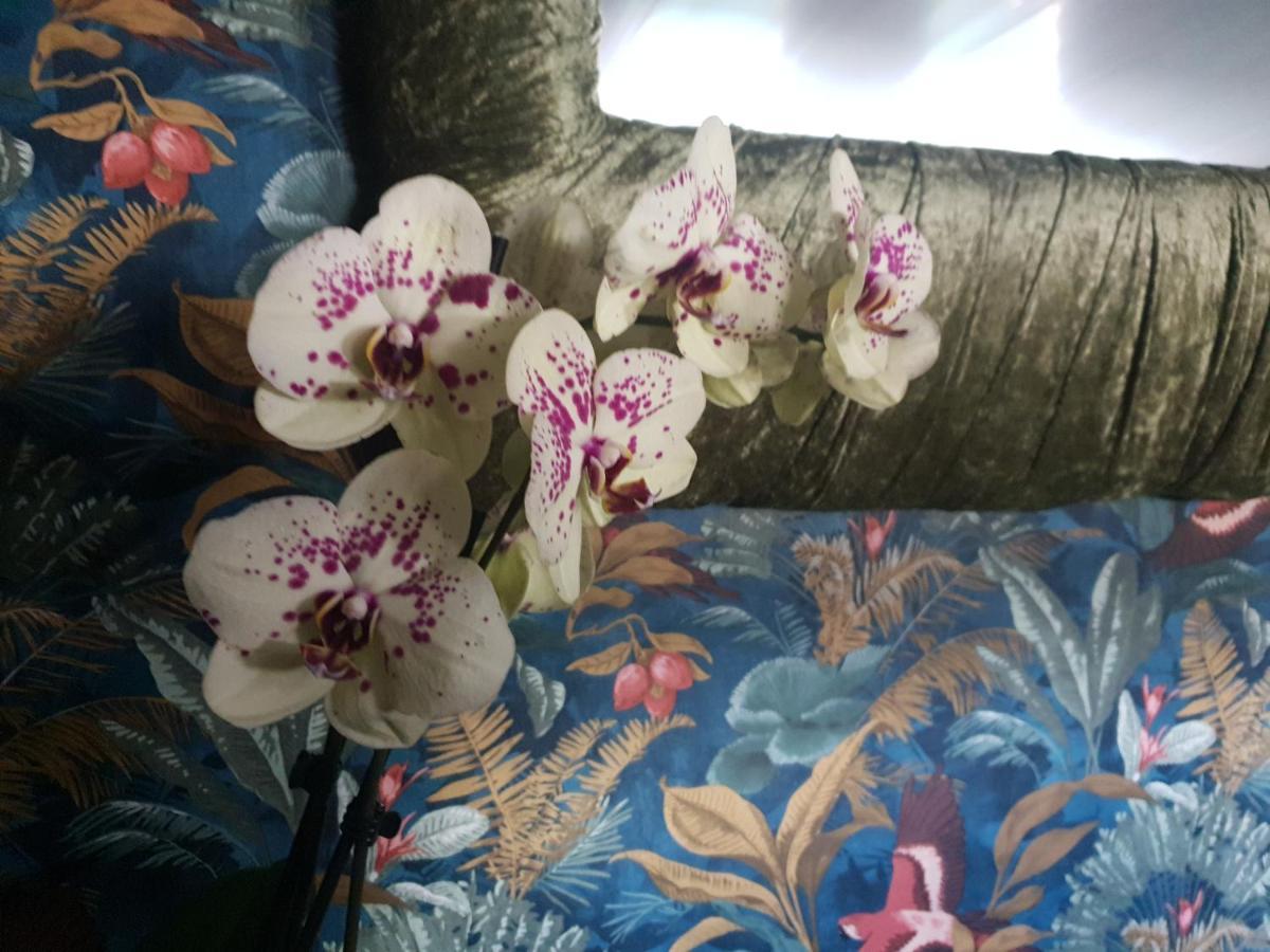 Jasmine Coral Jay Boutique Boatel Ocean Village Gibraltar Bagian luar foto