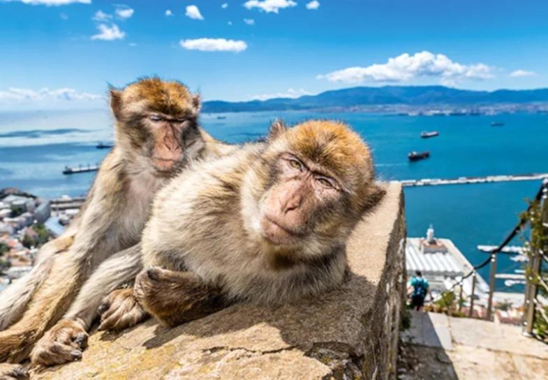 Jasmine Coral Jay Boutique Boatel Ocean Village Gibraltar Bagian luar foto